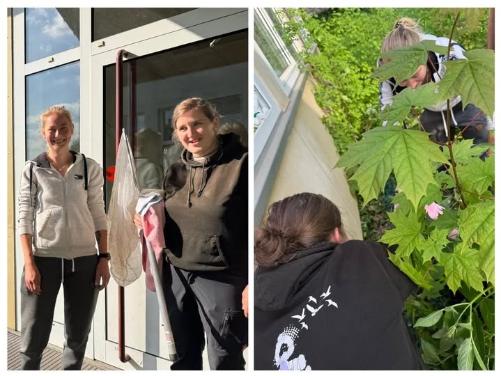 Tierheimheldinnen im Rettungseinsatz