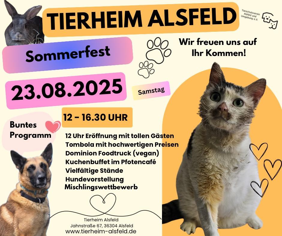Sommerfest 2025