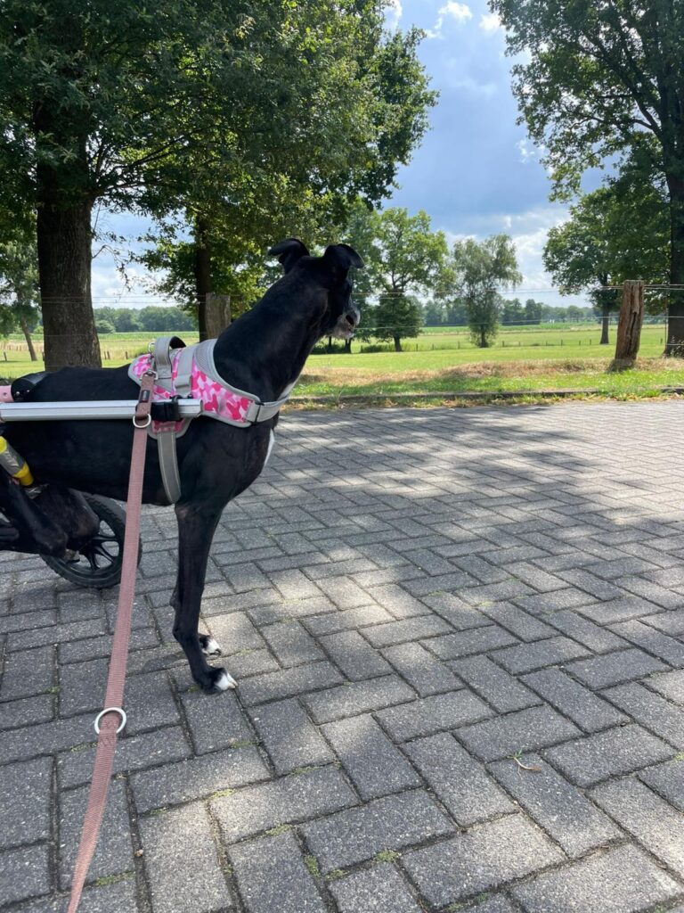 Moya in ihrem neuen Glück