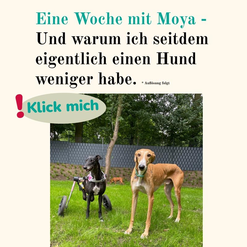 Moya in ihrem neuen Glück