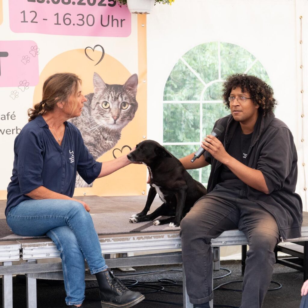Ein tierisch schönes Sommerfest 2025 – unser Rückblick