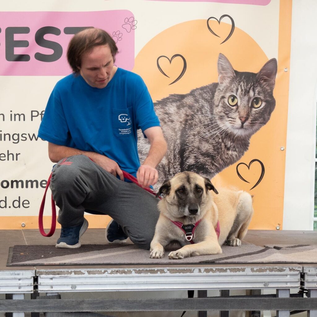 Ein tierisch schönes Sommerfest 2025 – unser Rückblick