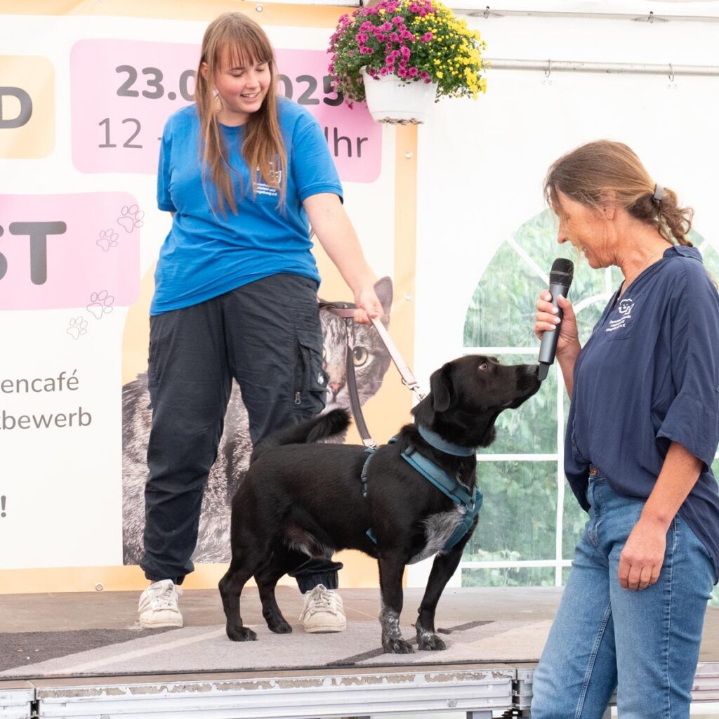 Ein tierisch schönes Sommerfest 2025 – unser Rückblick