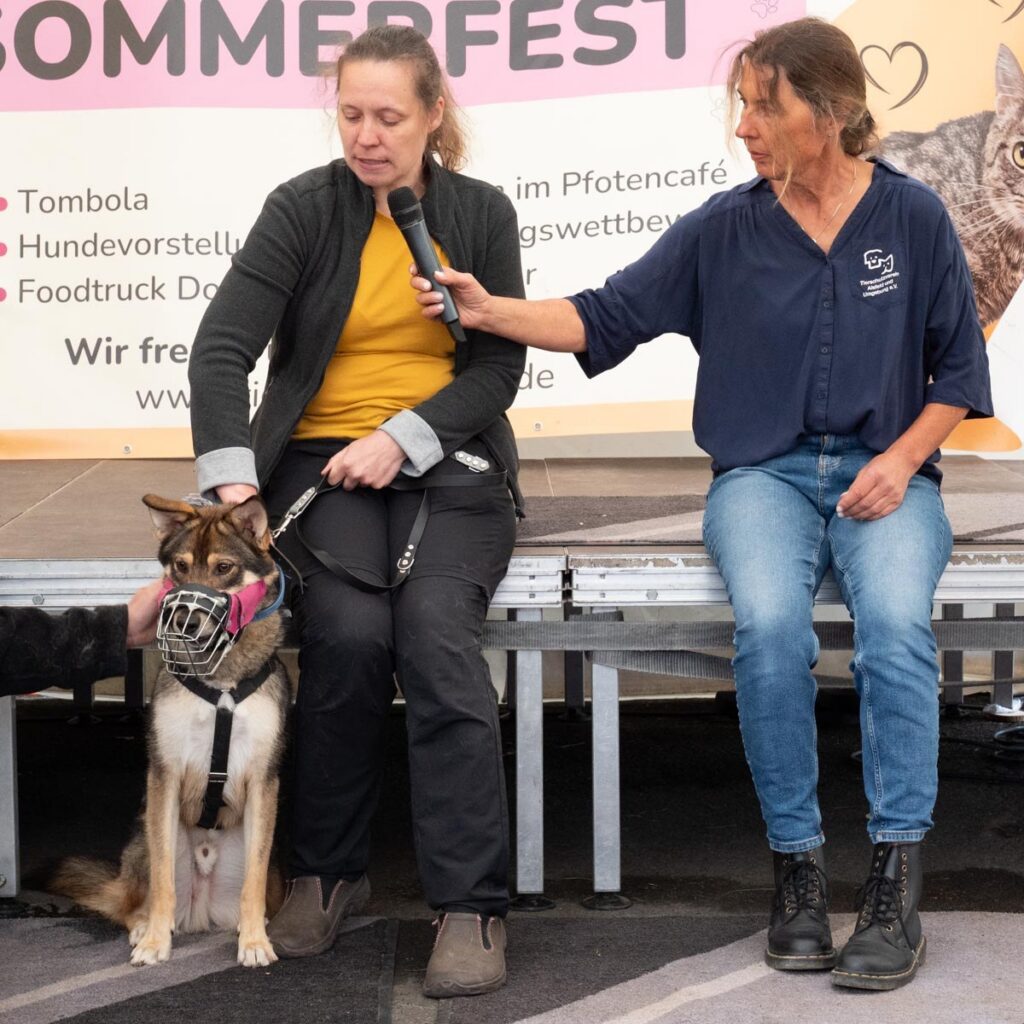 Ein tierisch schönes Sommerfest 2025 – unser Rückblick