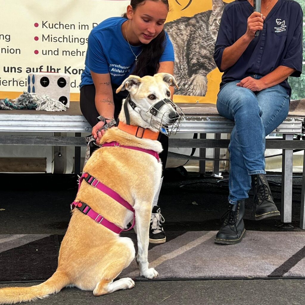 Ein tierisch schönes Sommerfest 2025 – unser Rückblick
