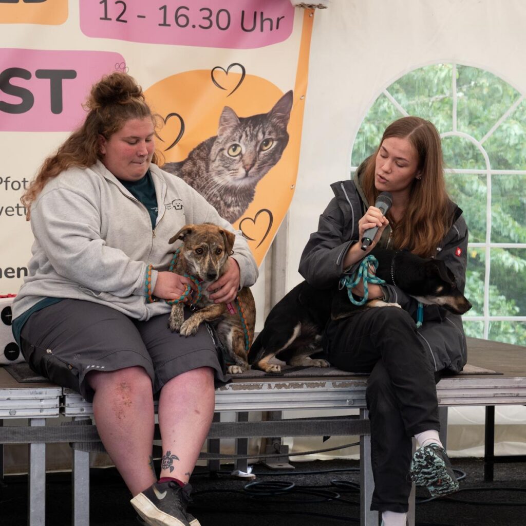Ein tierisch schönes Sommerfest 2025 – unser Rückblick