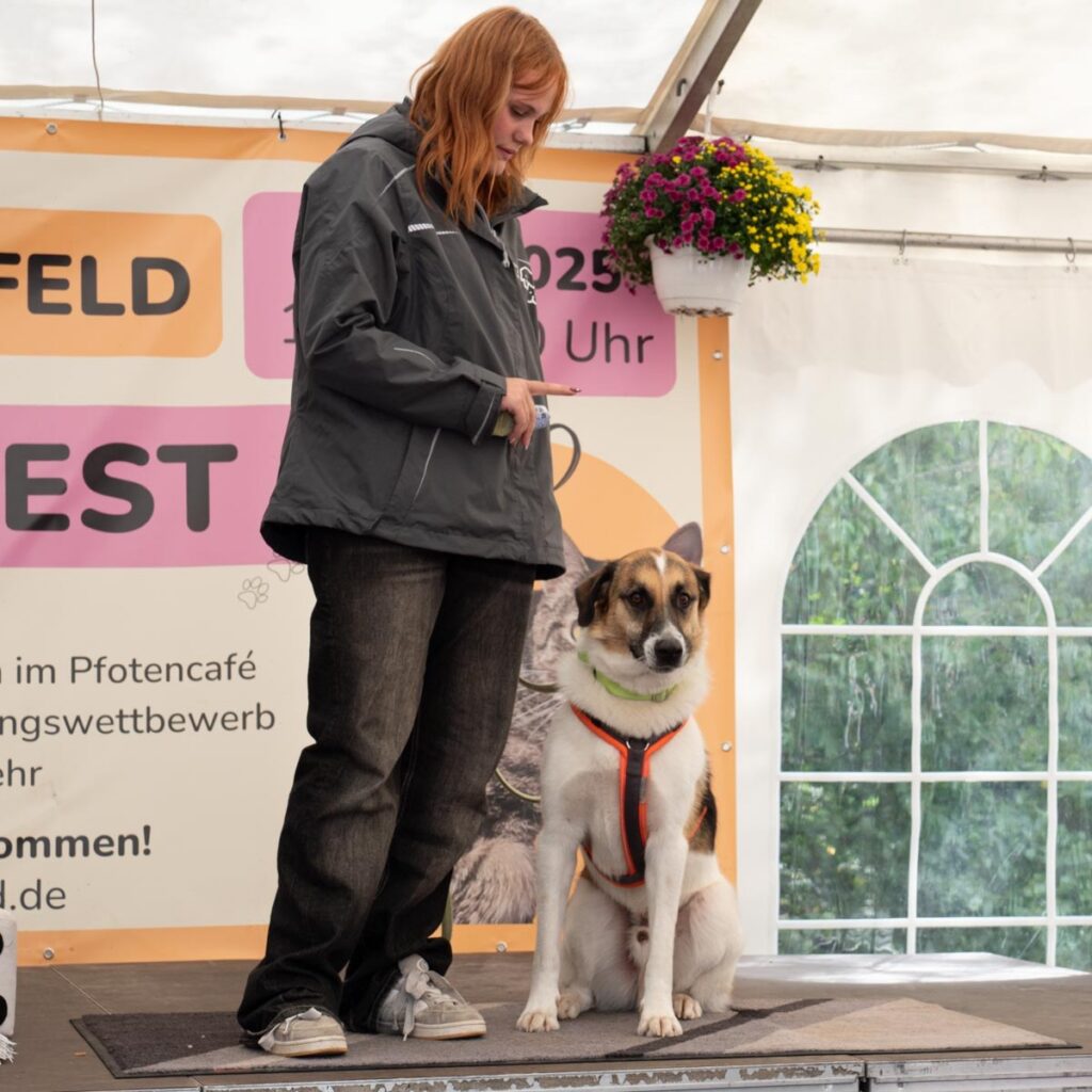 Ein tierisch schönes Sommerfest 2025 – unser Rückblick
