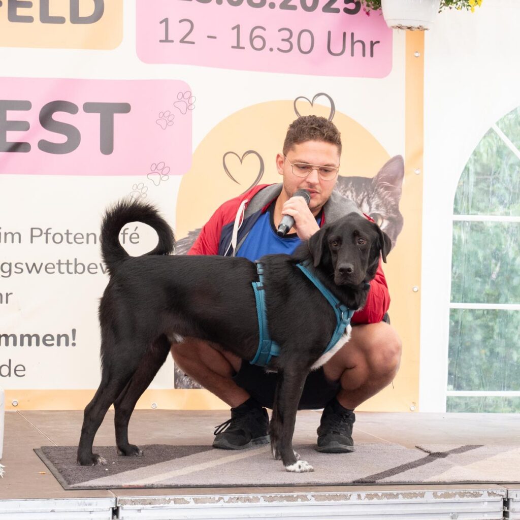 Ein tierisch schönes Sommerfest 2025 – unser Rückblick