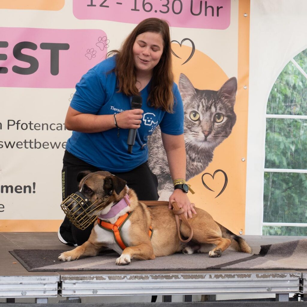 Ein tierisch schönes Sommerfest 2025 – unser Rückblick