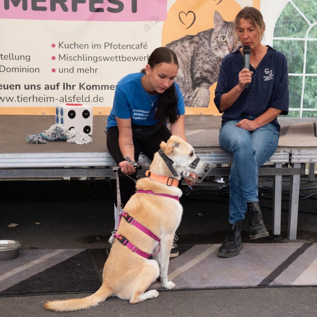 Ein tierisch schönes Sommerfest 2025 – unser Rückblick