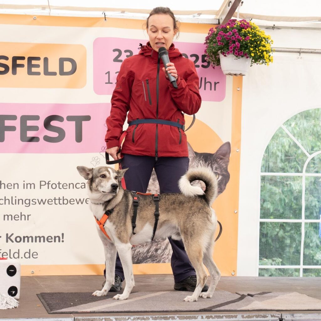 Ein tierisch schönes Sommerfest 2025 – unser Rückblick