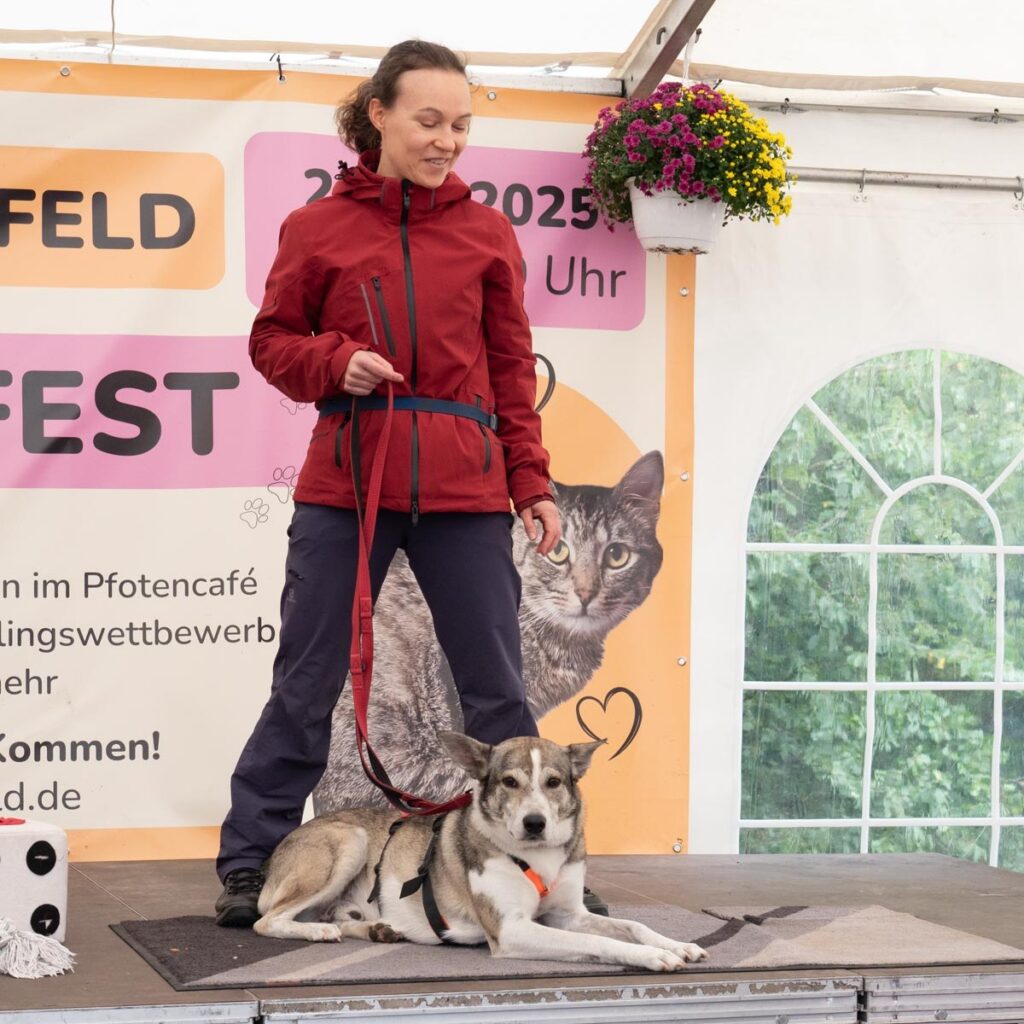 Ein tierisch schönes Sommerfest 2025 – unser Rückblick