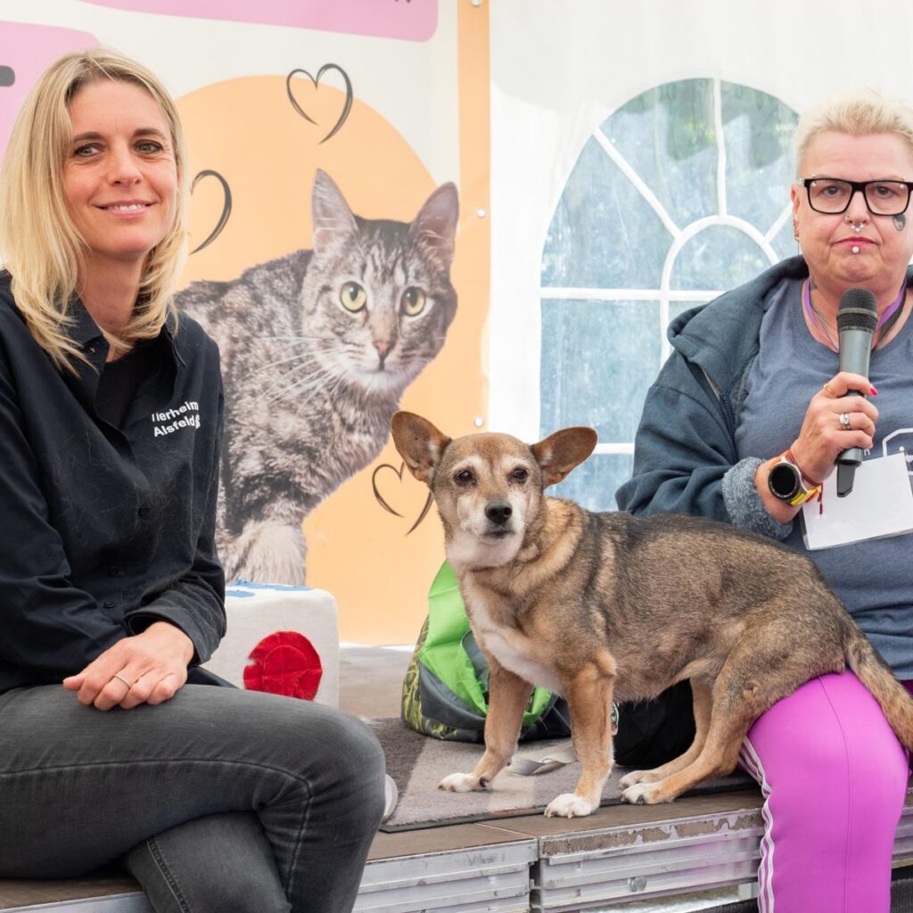 Ein tierisch schönes Sommerfest 2025 – unser Rückblick