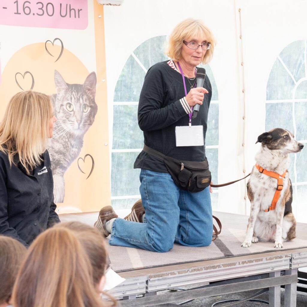 Ein tierisch schönes Sommerfest 2025 – unser Rückblick