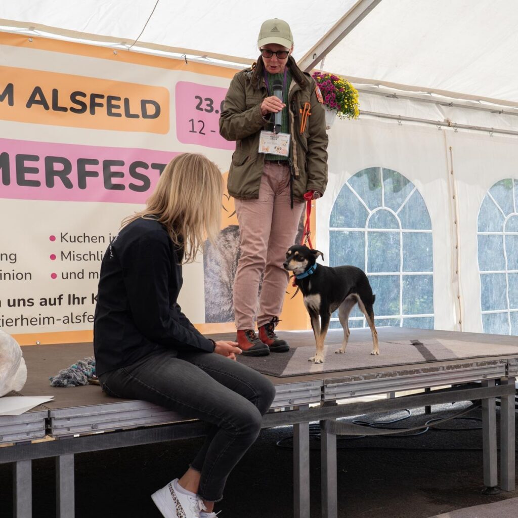 Ein tierisch schönes Sommerfest 2025 – unser Rückblick