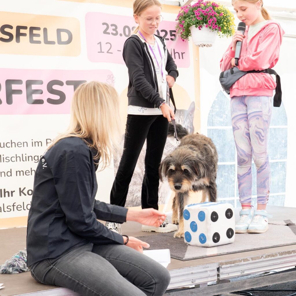 Ein tierisch schönes Sommerfest 2025 – unser Rückblick