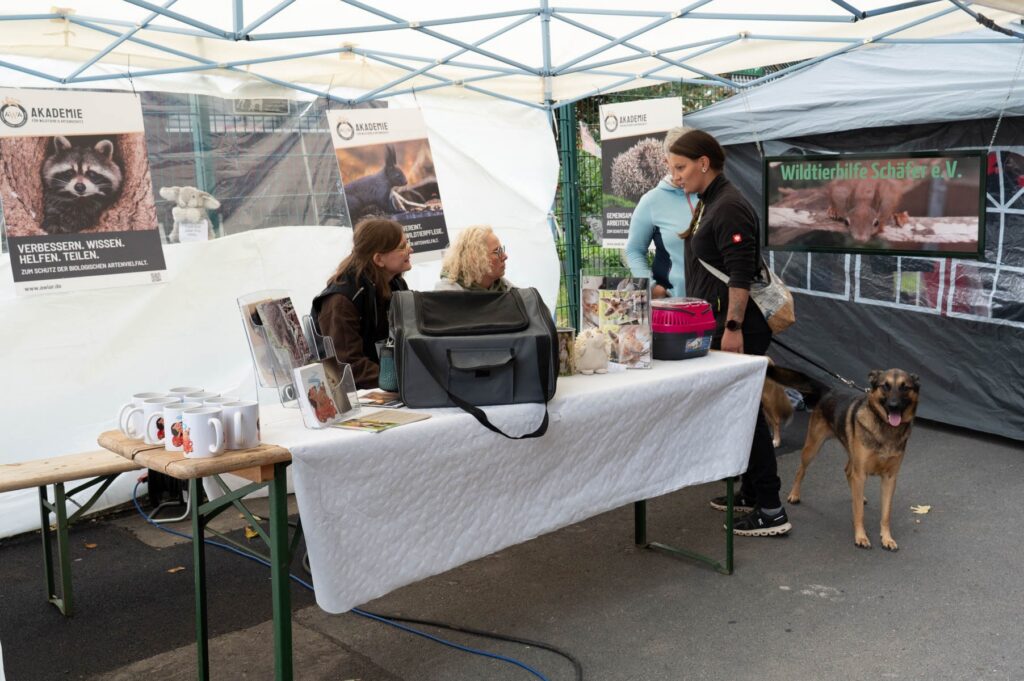 Ein tierisch schönes Sommerfest 2025 – unser Rückblick