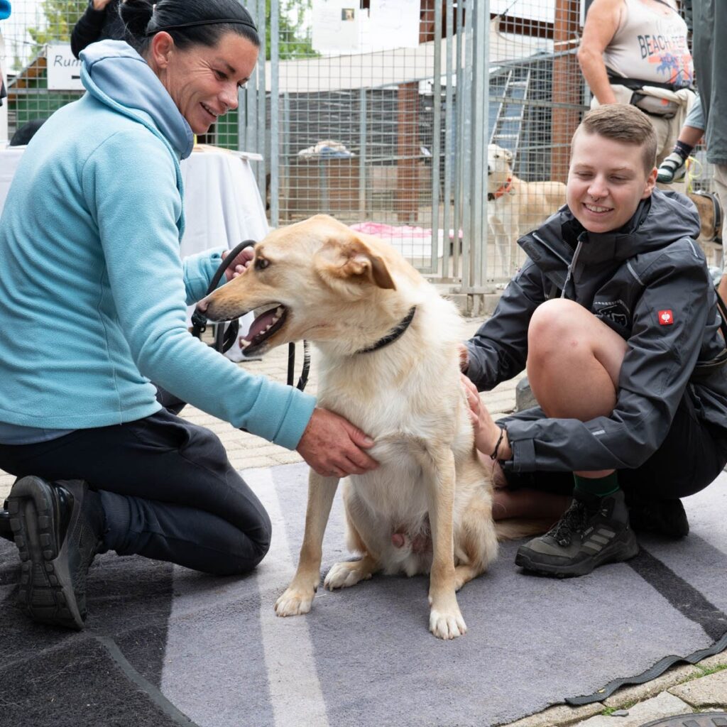 Ein tierisch schönes Sommerfest 2025 – unser Rückblick
