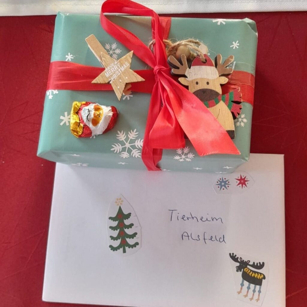 Tolle Futteraktion