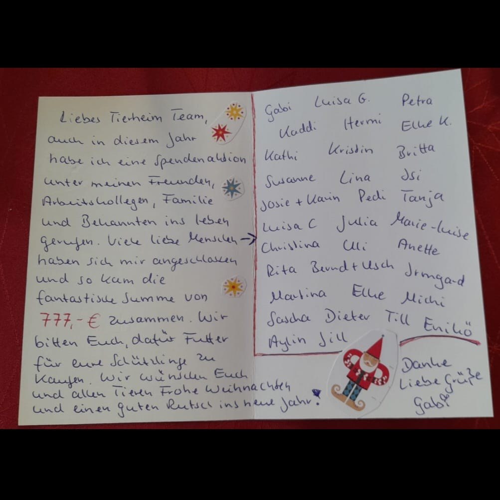 Tolle Futteraktion