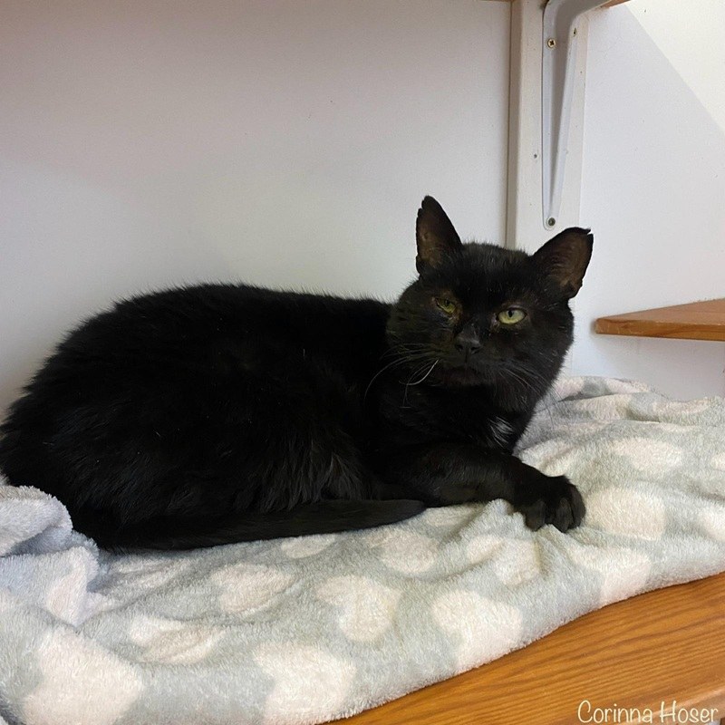 Salem