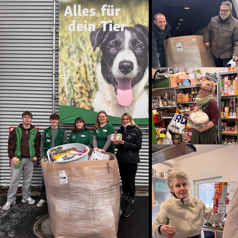 Weihnachtsbaumaktion der Fressnapfmärkte