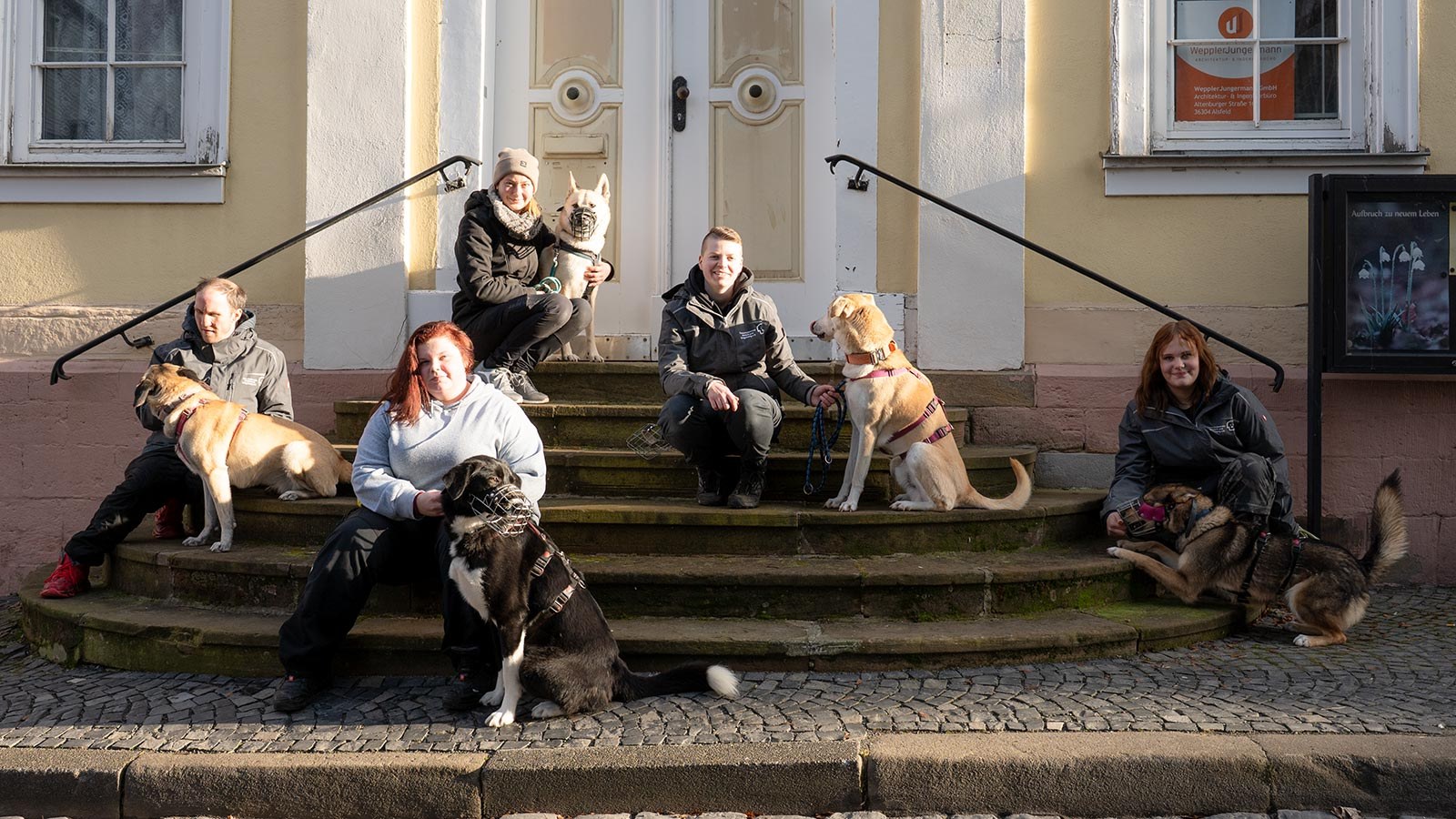 Hundeschule – Ein Ausflug durch die Stadt
