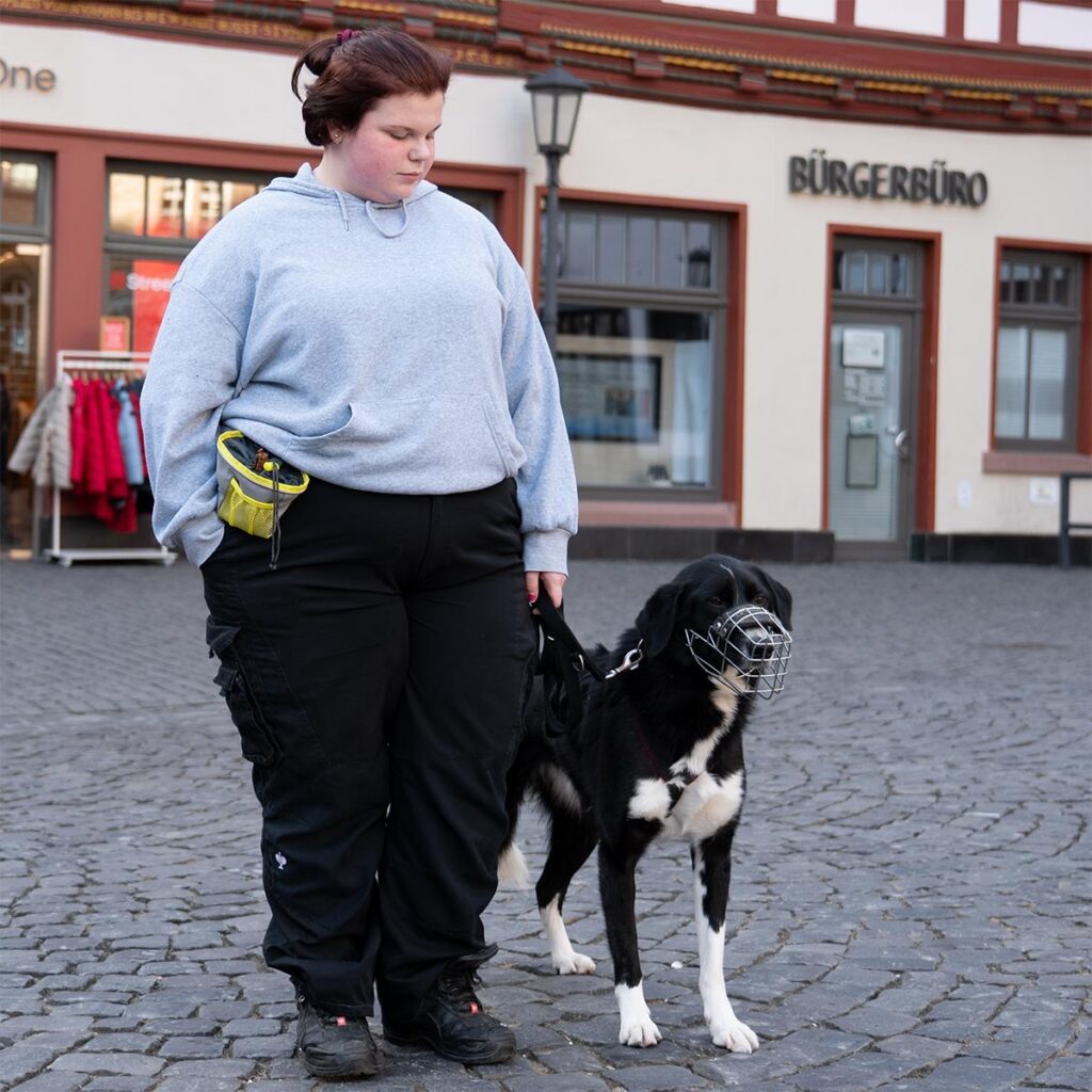 Hundeschule - Ein Ausflug durch die Stadt