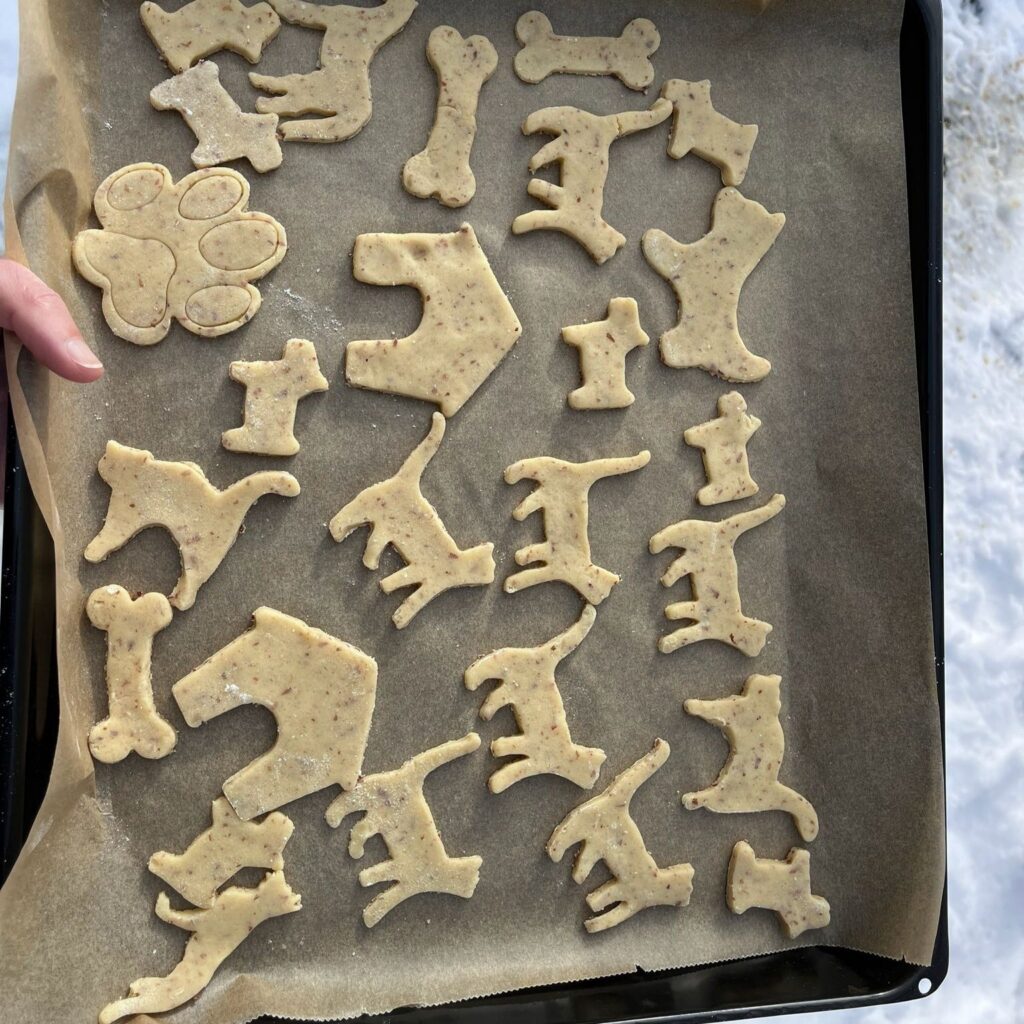 Kinder- und Jugendtierschutzgruppe backten Plätzchen