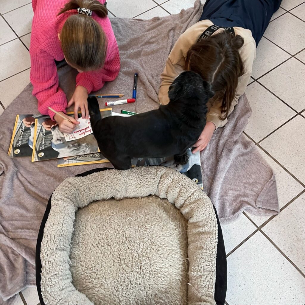Kinder- und Jugendtierschutzgruppe backten Plätzchen