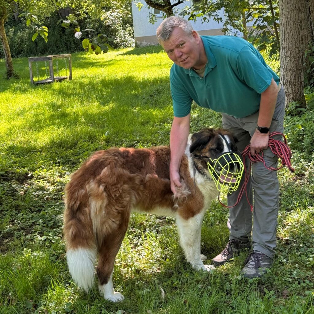 Gemeinsam unterwegs, Unser Hundetrail war ein voller Erfolg