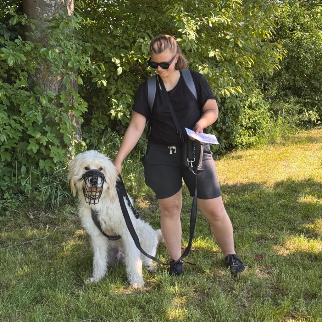 Gemeinsam unterwegs, Unser Hundetrail war ein voller Erfolg