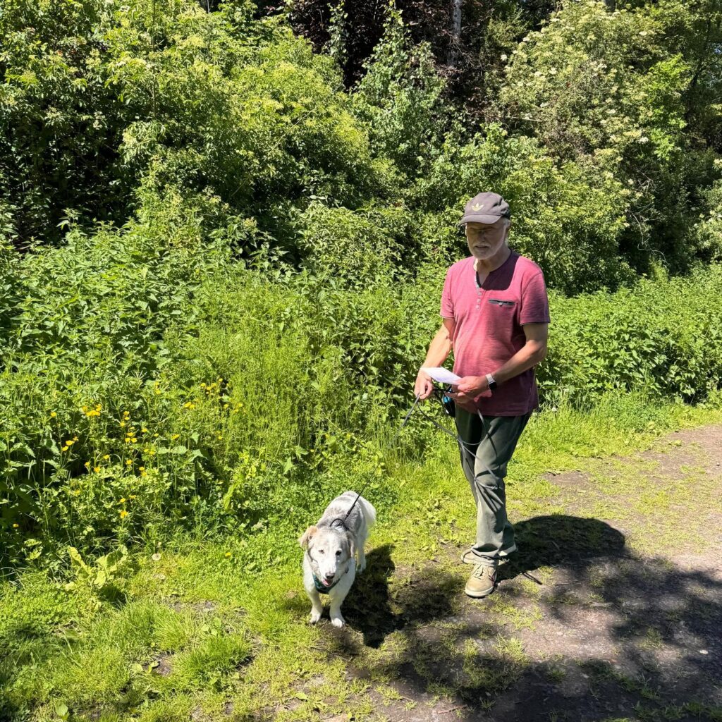 Gemeinsam unterwegs, Unser Hundetrail war ein voller Erfolg