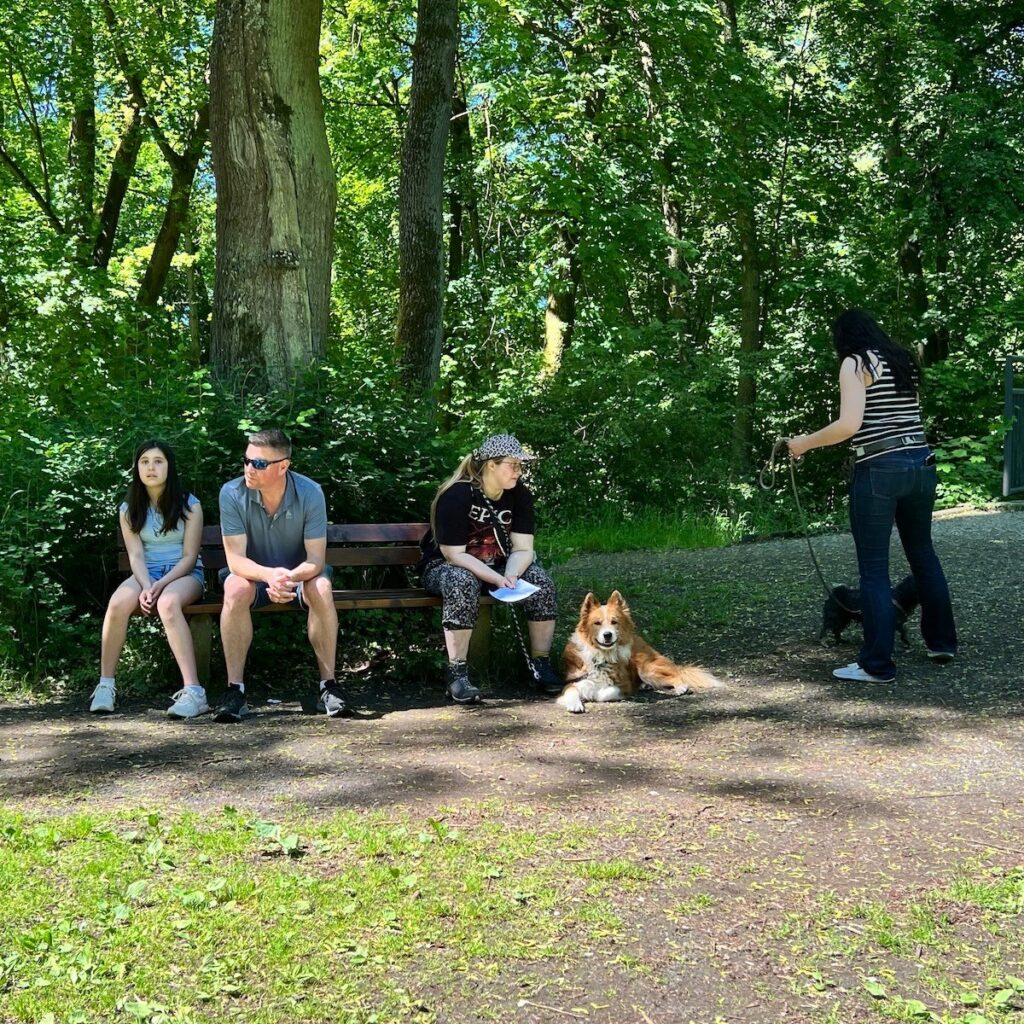 Gemeinsam unterwegs, Unser Hundetrail war ein voller Erfolg