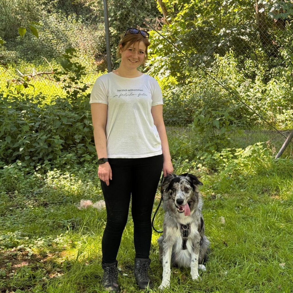 Gemeinsam unterwegs, Unser Hundetrail war ein voller Erfolg