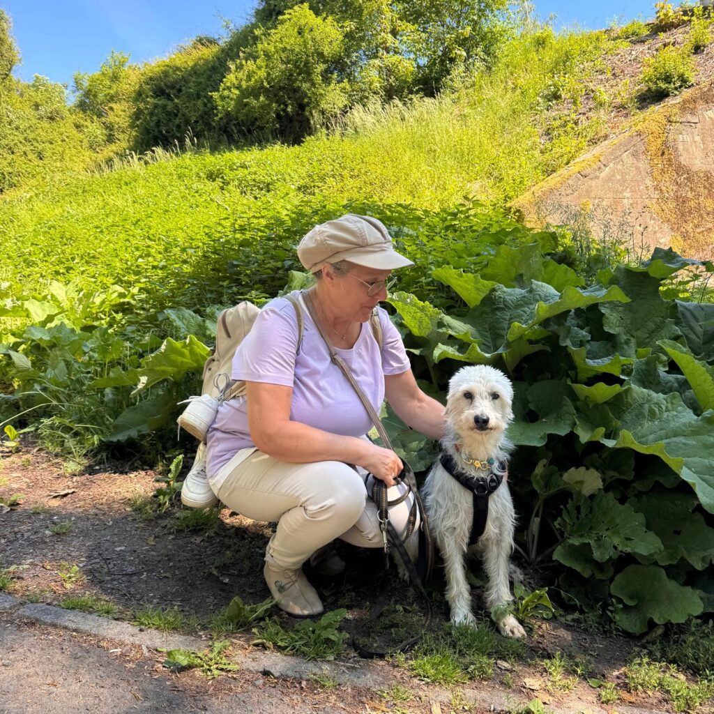 Gemeinsam unterwegs, Unser Hundetrail war ein voller Erfolg