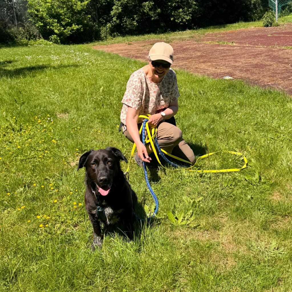 Gemeinsam unterwegs, Unser Hundetrail war ein voller Erfolg