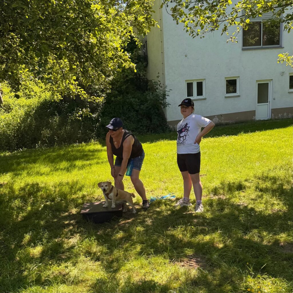 Gemeinsam unterwegs, Unser Hundetrail war ein voller Erfolg