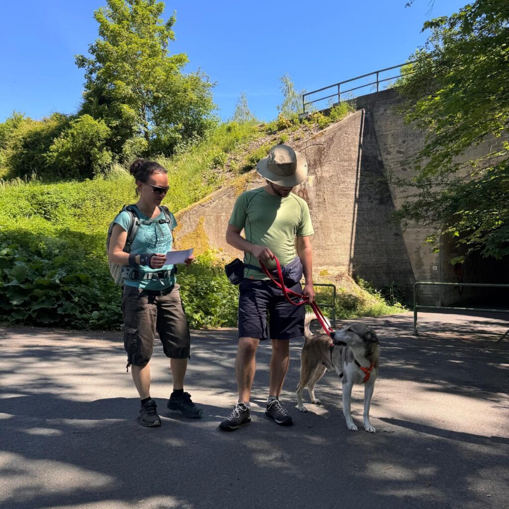 Gemeinsam unterwegs, Unser Hundetrail war ein voller Erfolg