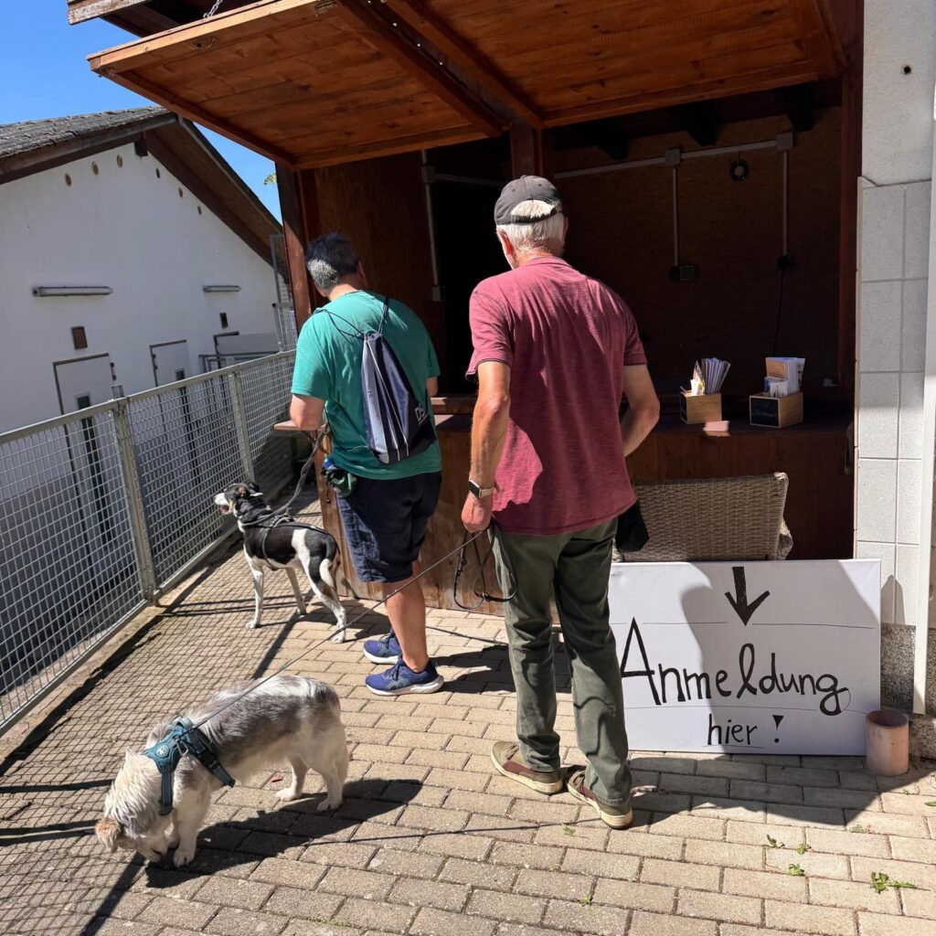 Gemeinsam unterwegs, Unser Hundetrail war ein voller Erfolg