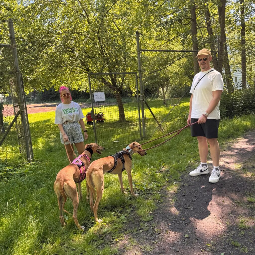 Gemeinsam unterwegs, Unser Hundetrail war ein voller Erfolg