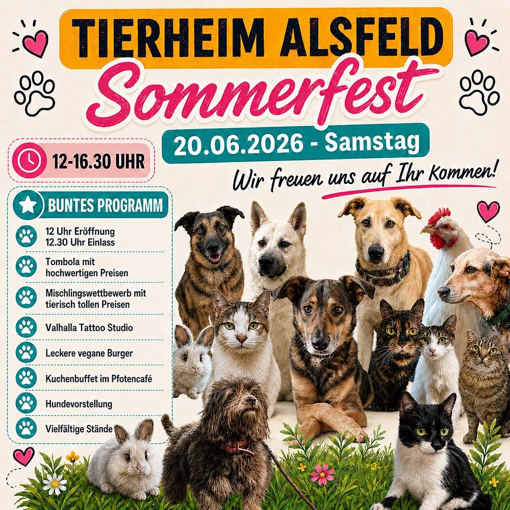 Gewinne am Sommerfest & Dank (Teil 2 + 3)