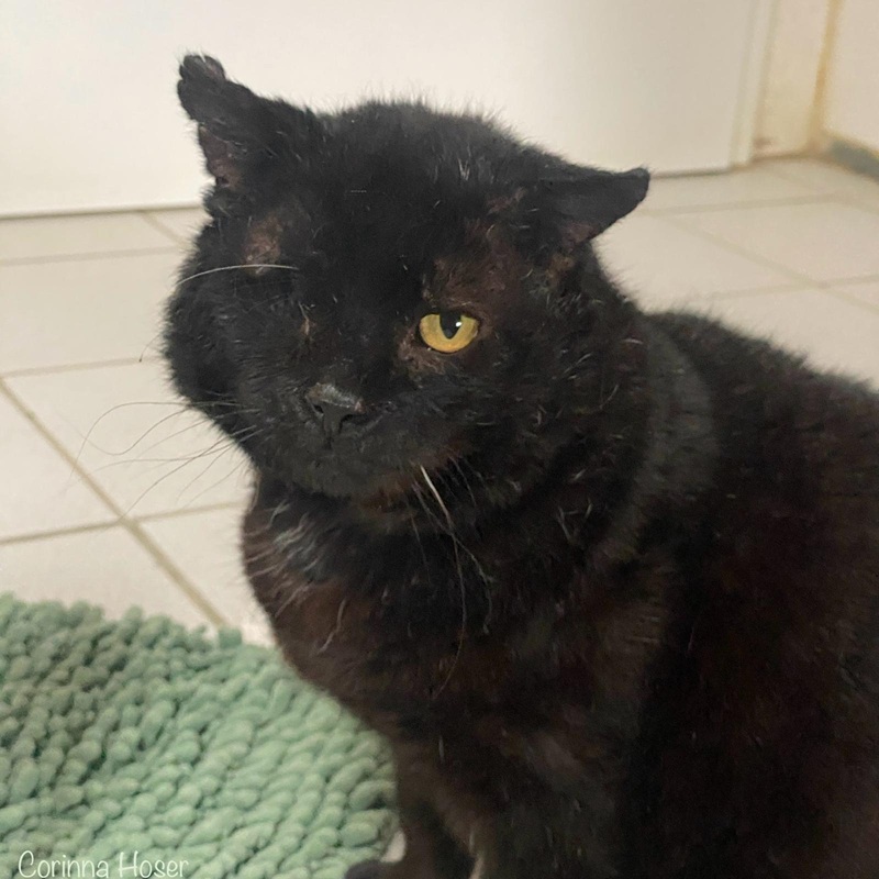 Blacky