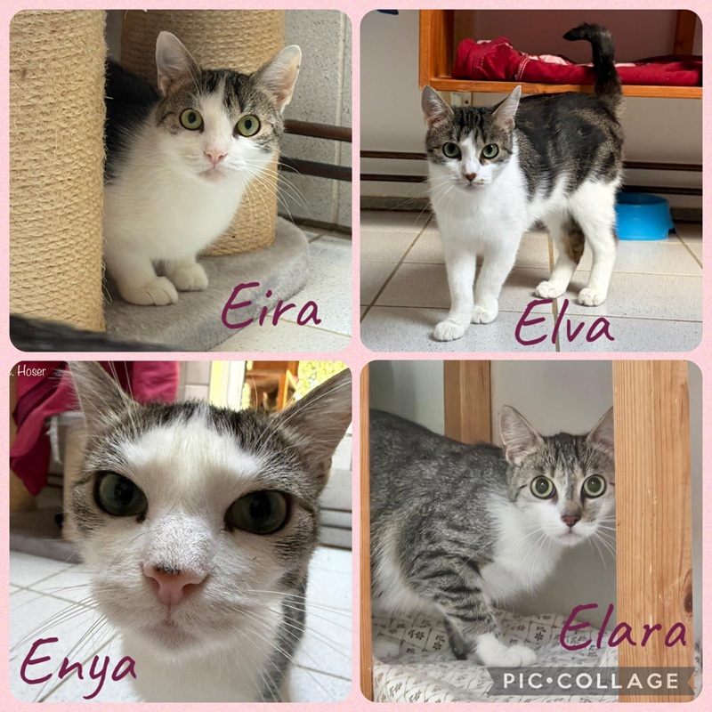 Elva, Enya, Elara, Eira