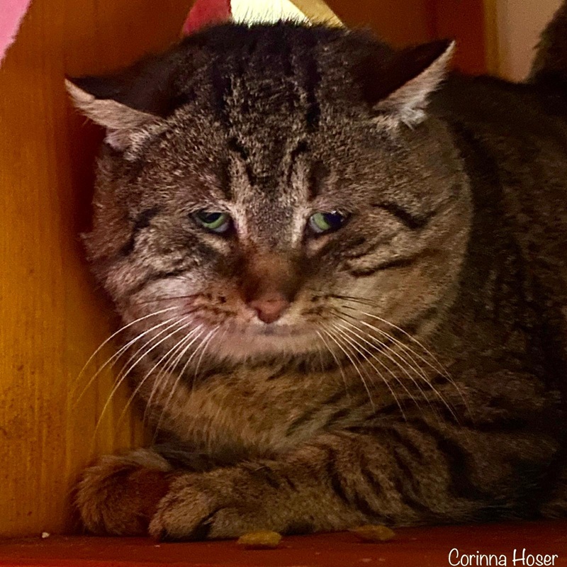 Felix