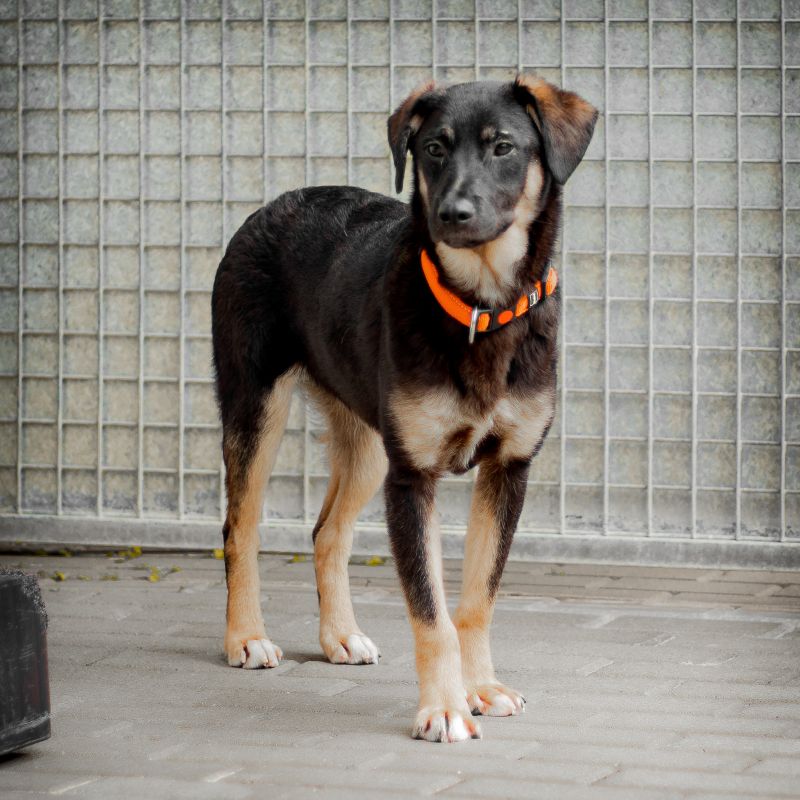 Izvor -reserviert-
