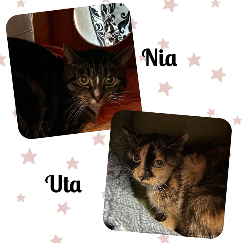 Nia und Uta – Notfall