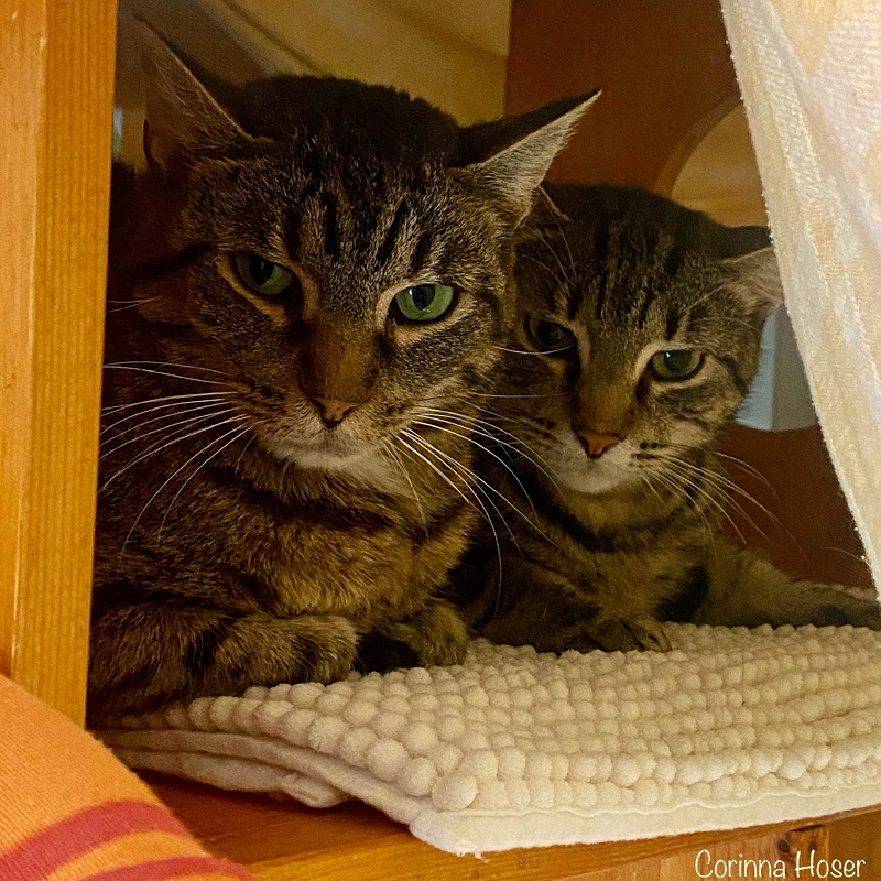 Osman und Olivia