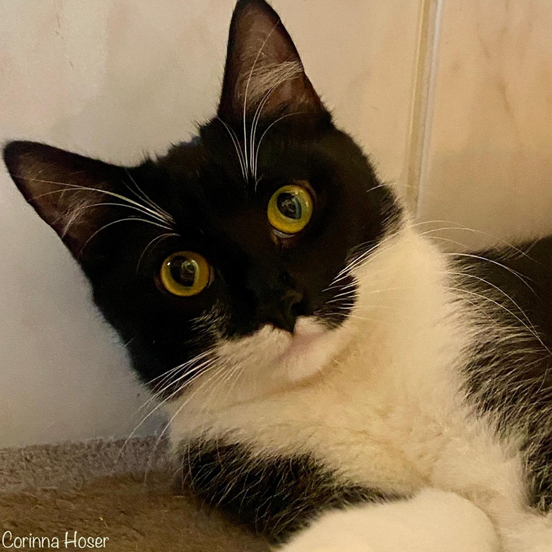 Pippa (Mama von Pille & Palle)