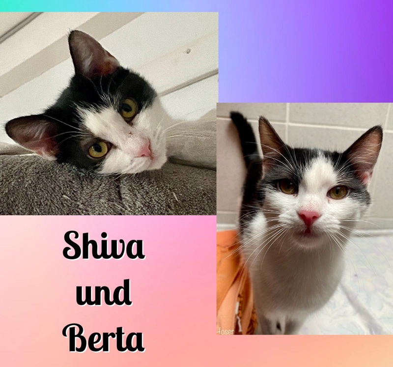 Berta und Shiva